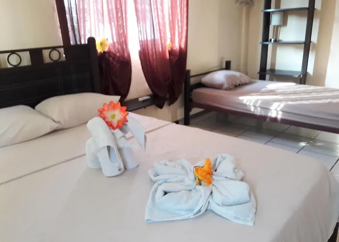 Hostal Alme Centro *