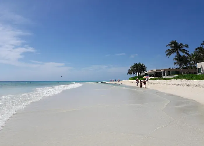 Alme Centro Playa del Carmen